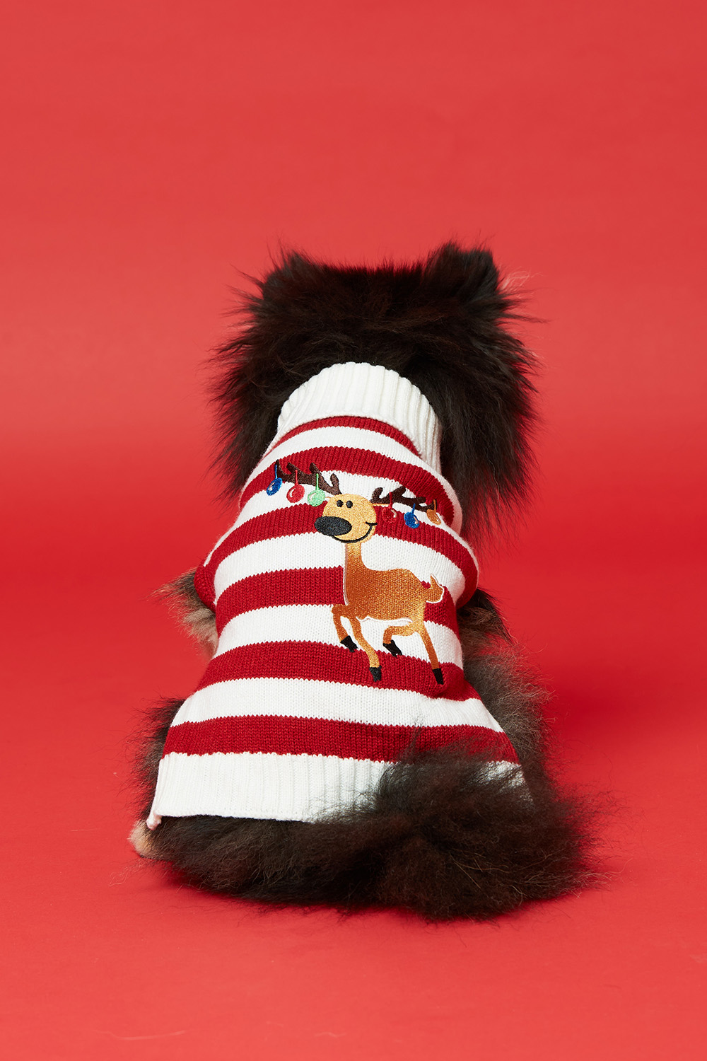 Lemmikkieläimen neulepoolo, jossa poro ryhmässä Joulu / Christmas Pet @ Glitter (17800003)
