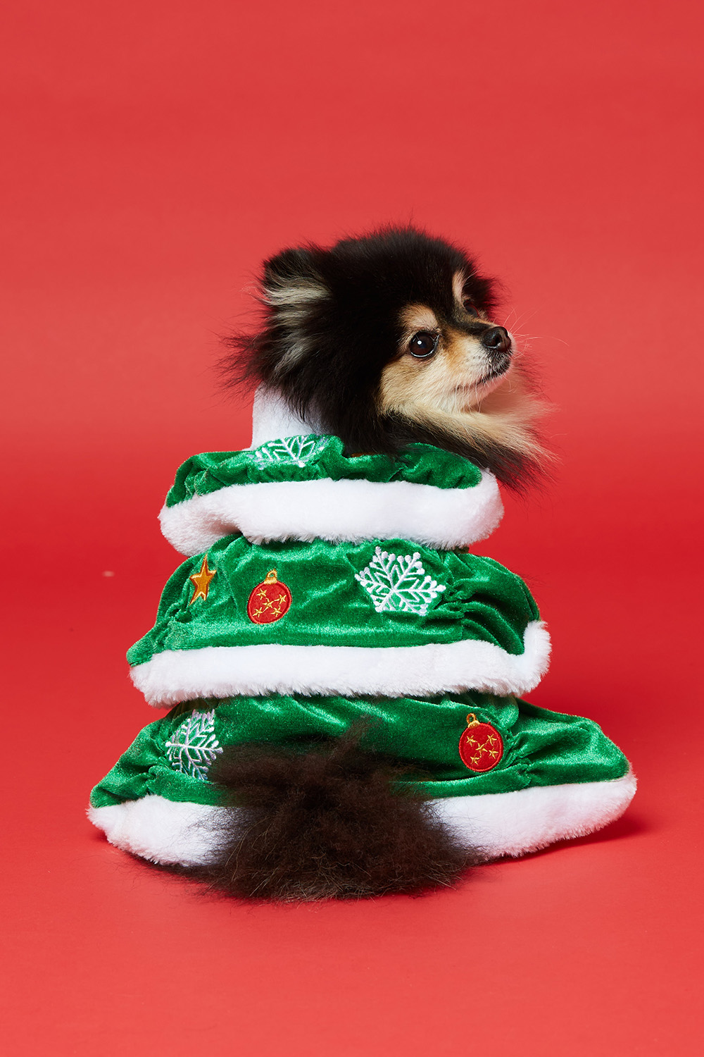 Joulukuusiaiheinen paita lemmikkieläimille ryhmässä Joulu / Christmas Pet @ Glitter (17800018)