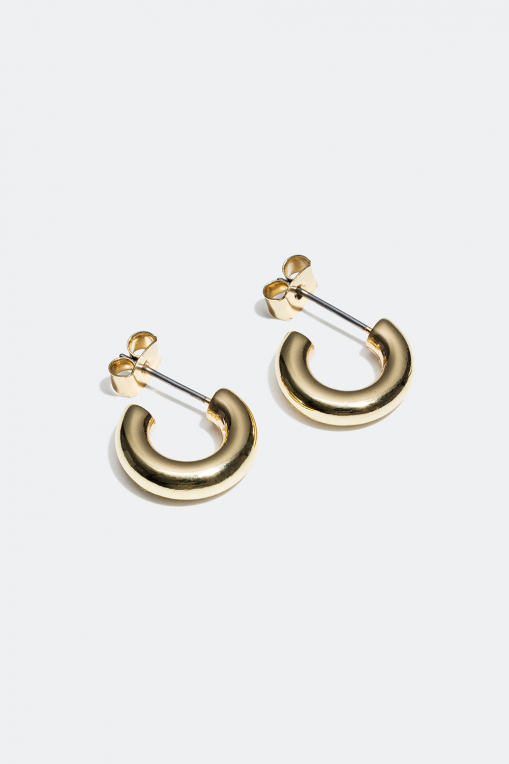 Small rounded hoop earrings