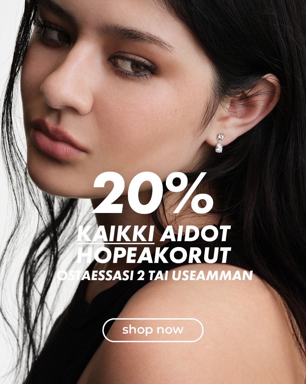 20% kaikki aidot hopeakorut